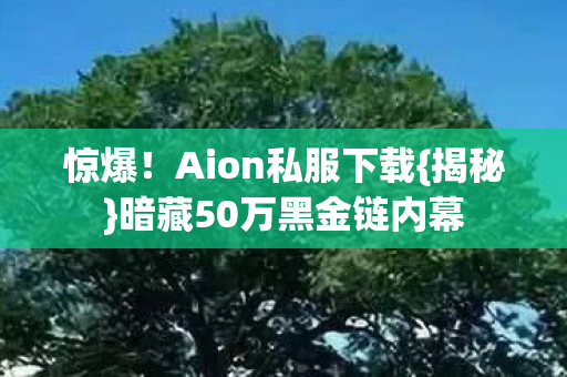 暗藏50万黑金链内幕图片