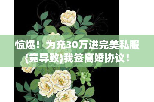为充30万进完美私服图片