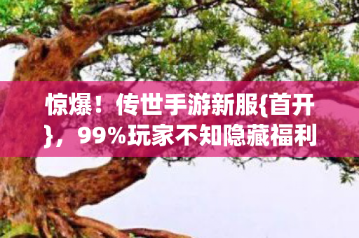 玩家不知隐藏福利图片