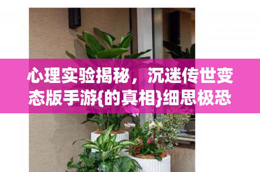 沉迷传世变态版手游图片