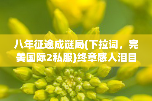 终章感人泪目落幕图片