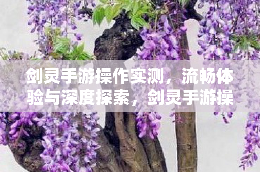 剑灵手游操作实测,流畅体验与深度探索,剑灵手游操作实测,流畅体验与深度探索 剑灵手游操作实测,流畅体验与深度探索,剑灵手游操作实测,流畅体验与深度探索