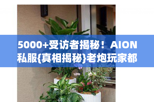 老炮玩家都惊了图片