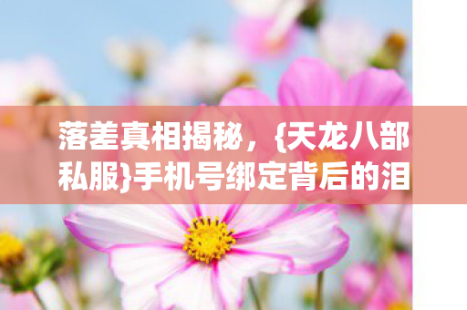 手机号绑定背后的泪与笑图片