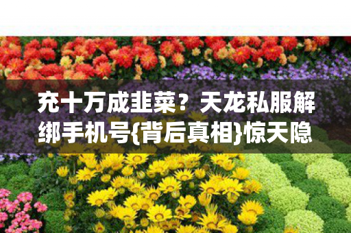 天龙私服解绑手机号图片