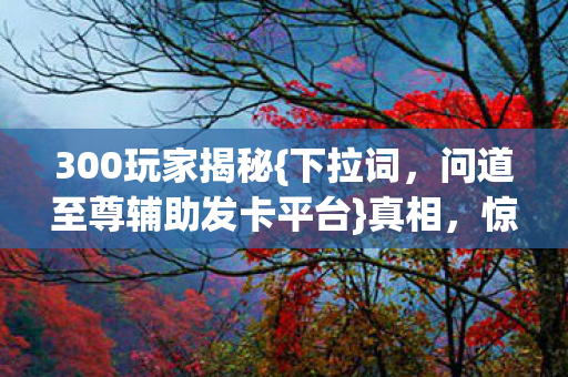 问道至尊辅助发卡平台图片