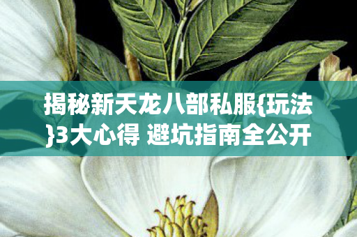 3大心得 避坑指南全公开图片