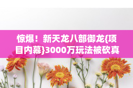 惊爆！新天龙八部御龙{项目内幕}3000万玩法被砍真相