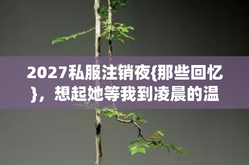 2027私服注销夜{那些回忆}，想起她等我到凌晨的温柔