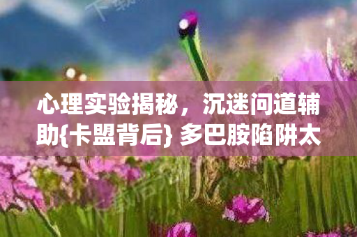 心理实验揭秘,沉迷问道辅助{卡盟背后} 多巴胺陷阱太可怕 心理实验揭秘,沉迷问道辅助{卡盟背后} 多巴胺陷阱太可怕