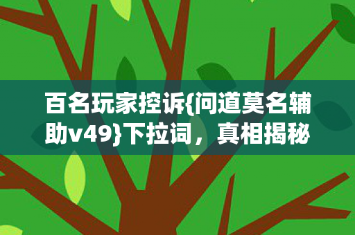 问道莫名辅助v49图片