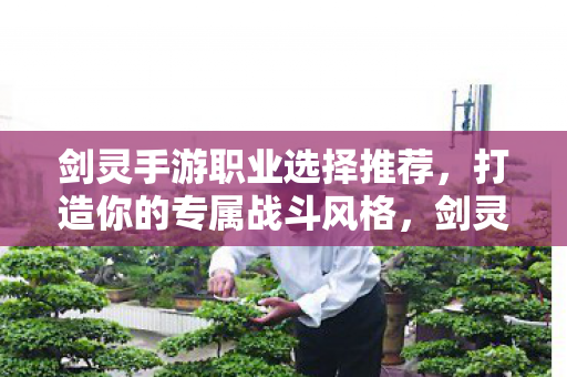 剑灵手游职业选择推荐,打造你的专属战斗风格,剑灵手游职业选择指南,打造个性化战斗风格 剑灵手游职业选择推荐,打造你的专属战斗风格,剑灵手游职业选择指南,打造个性化战斗风格