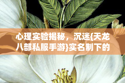 实名制下的隐秘囚笼图片