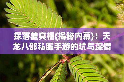 探落差真相{揭秘内幕}！天龙八部私服手游的坑与深情