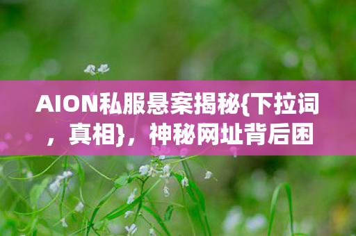 AION私服悬案揭秘{下拉词,真相},神秘网址背后困兽十年 AION私服悬案揭秘{下拉词,真相},神秘网址背后困兽十年