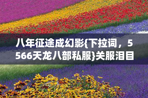 八年征途成幻影{下拉词,5566天龙八部私服}关服泪目 八年征途成幻影{下拉词,5566天龙八部私服}关服泪目