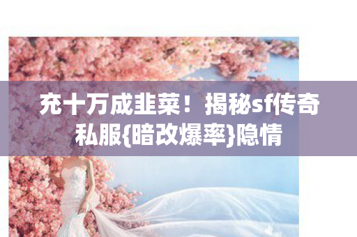 充十万成韭菜!揭秘sf传奇私服{暗改爆率}隐情 充十万成韭菜!揭秘sf传奇私服{暗改爆率}隐情