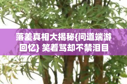 笑着骂却不禁泪目图片