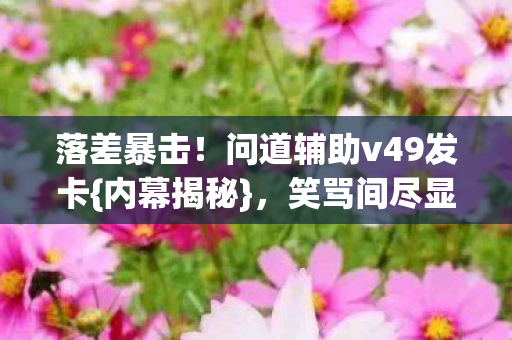 问道辅助v49发卡图片
