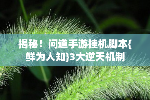 问道手游挂机脚本图片