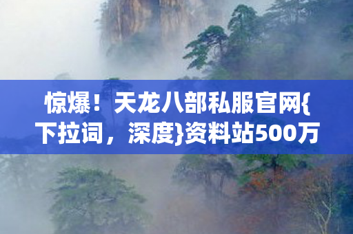 资料站500万隐情揭秘图片