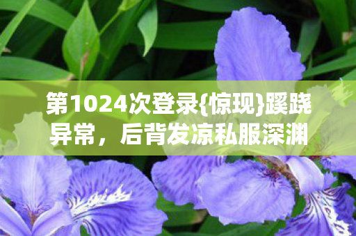 第1024次登录图片