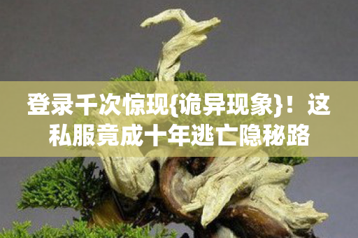 这私服竟成十年逃亡隐秘路图片