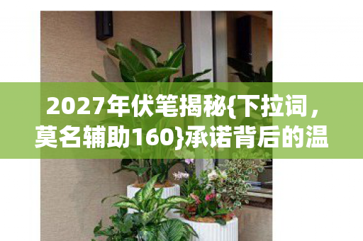 2027年伏笔揭秘图片