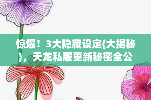 天龙私服更新秘密全公开图片
