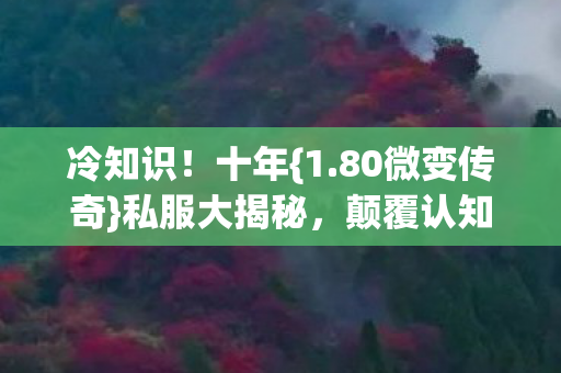 冷知识！十年{1.80微变传奇}私服大揭秘，颠覆认知！
