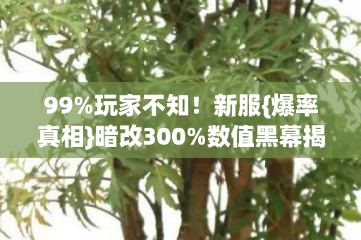 99%玩家不知！新服{爆率真相}暗改300%数值黑幕揭秘