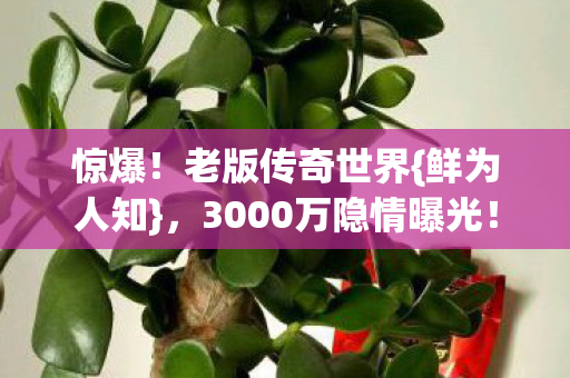 3000万隐情曝光图片