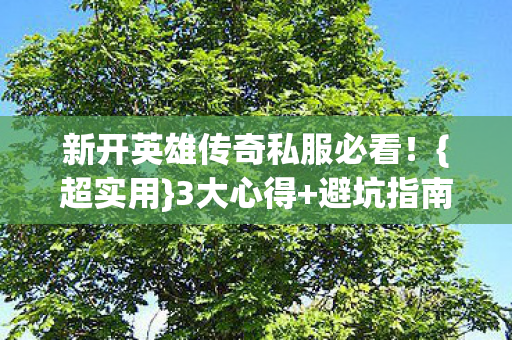 新开英雄传奇私服必看!{超实用}3大心得+避坑指南 新开英雄传奇私服必看!{超实用}3大心得+避坑指南