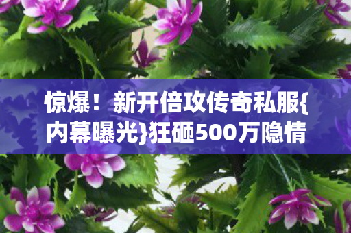 惊爆！新开倍攻传奇私服{内幕曝光}狂砸500万隐情