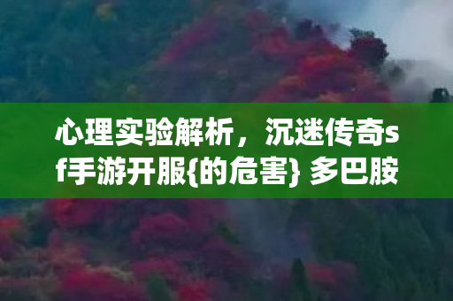 心理实验解析,沉迷传奇sf手游开服{的危害} 多巴胺陷阱 心理实验解析,沉迷传奇sf手游开服{的危害} 多巴胺陷阱