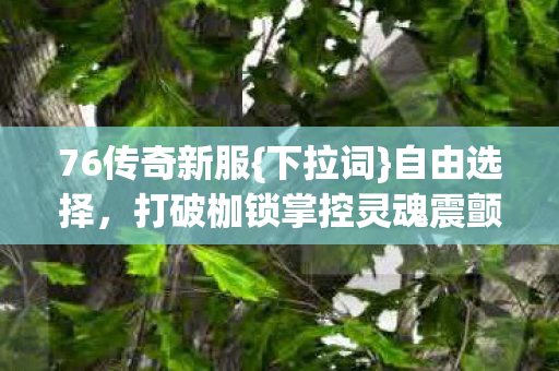 76传奇新服{下拉词}自由选择,打破枷锁掌控灵魂震颤 76传奇新服{下拉词}自由选择,打破枷锁掌控灵魂震颤