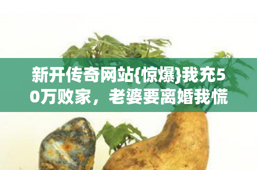 老婆要离婚我慌了图片