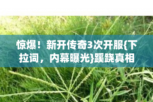 新开传奇3次开服图片