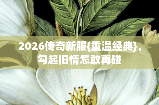2026传奇新服图片