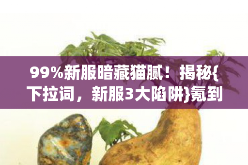 新服暗藏猫腻图片