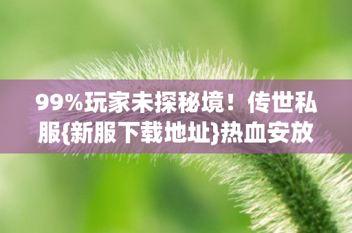玩家未探秘境图片