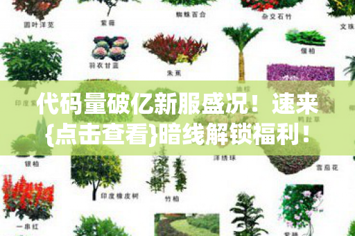 代码量破亿新服盛况图片