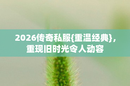 重现旧时光令人动容图片
