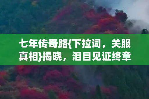 泪目见证终章时刻图片
