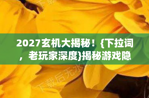 2027玄机大揭秘图片