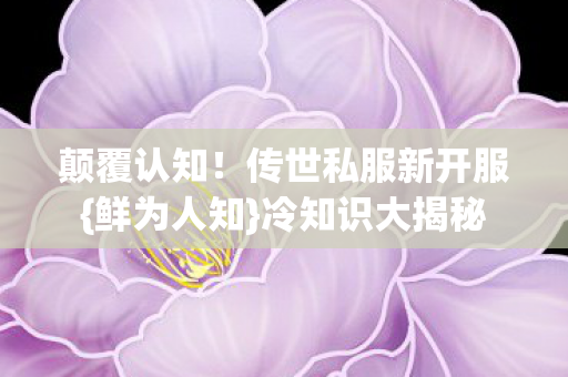 传世私服新开服图片