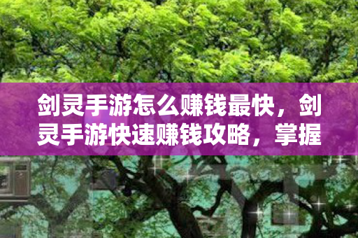 剑灵手游怎么赚钱最快,剑灵手游快速赚钱攻略,掌握这些技巧,轻松赚取丰厚奖励! 剑灵手游怎么赚钱最快,剑灵手游快速赚钱攻略,掌握这些技巧,轻松赚取丰厚奖励!