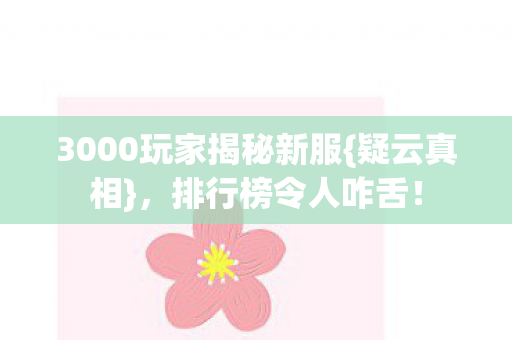 3000玩家揭秘新服图片