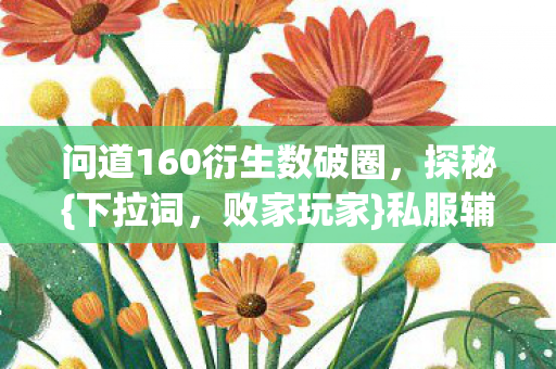 问道160衍生数破圈图片
