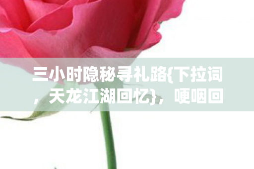 三小时隐秘寻礼路图片